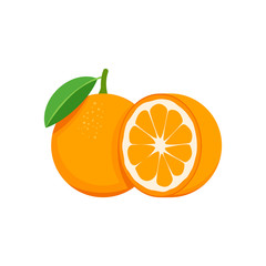 Orange isolated on white background. Vector illustration.