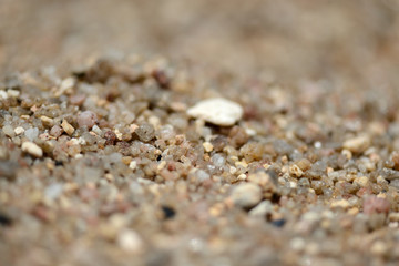 Sea coast sand texture close up. Natural background