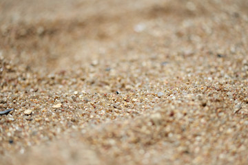 Sea coast sand texture close up. Natural background