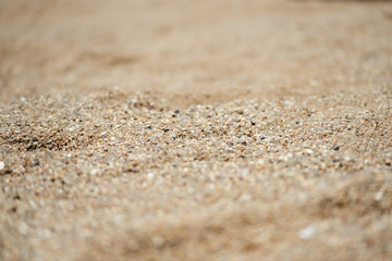 Fototapeta na wymiar Sea coast sand texture close up. Natural background