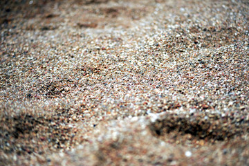 Sea coast sand texture close up. Natural background