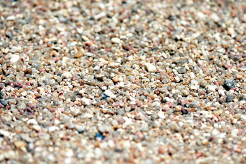 Sea coast sand texture close up. Natural background