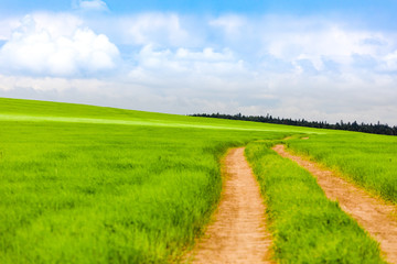 Rural road that goes through green meadows and fields. Sunny summer day