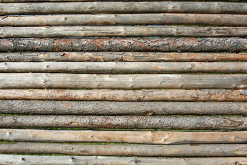 Wall of logs with the bark and debarked of the pine tree. Textured Horizontal Background