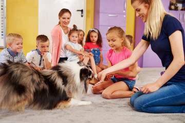 Young woman working with dog during therapy in the preschool