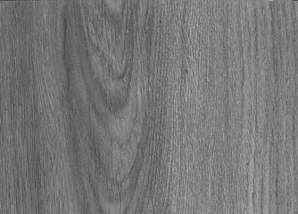 Wood texture with natural pattern. Wood surface background in shades of grey