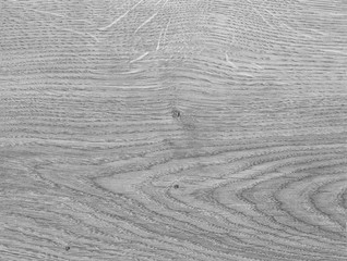 Wood texture with natural pattern. Wood surface background in shades of grey