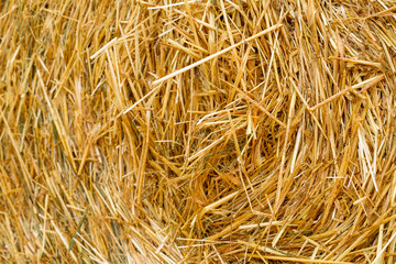 Closeup of hay roll in an agricultural field. Photo taken with a macro lens.