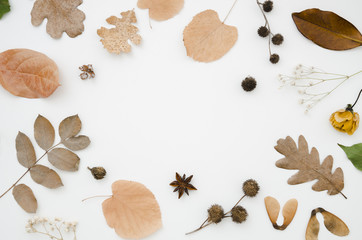 Autumn leaves flat lay with copy space