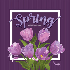 Blooming beautiful purple tulip flowers on violet background template. Vector set of blooming floral for wedding invitations, greeting card, voucher, brochures and banners design.