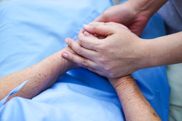 Caregiver holding hands Asian elderly woman patient with love, care, encourage and empathy at...