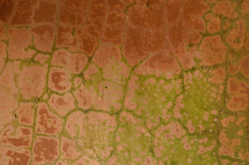 Obraz na płótnie Canvas broken wall moss on the wall abstract grunge background