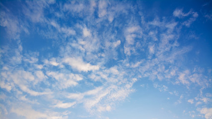 Naklejka na ściany i meble Background with tiny clouds in the evening