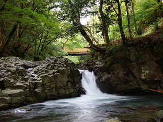 Obraz premium かに滝