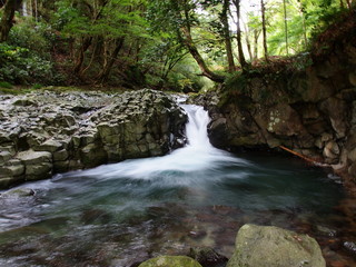 Fototapeta premium かに滝