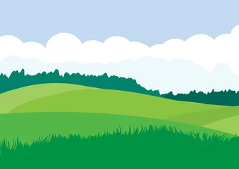Poster Groen landschap met gele velden. Mooie landelijke natuur. Onbeperkte ruimte. Vector illustratie. © Happy Man