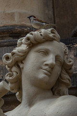 Sculpture  and bird © Hanna