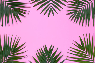 Frame of tropical palm leaves on pastel pink background. Flat lay, top view, copy space. Summer background, nature. Creative minimal background with tropical leaves. Leaf pattern