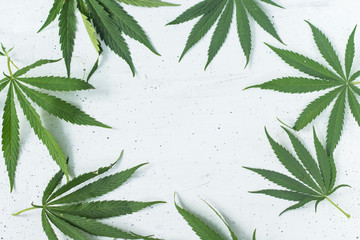 cannabis leaves on the white background top view copy space