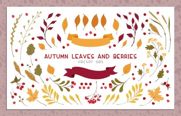 Autumn leaves and berries flat vector illustrations set