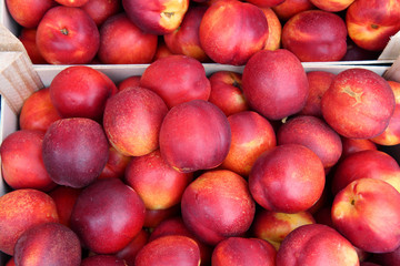 Fototapeta na wymiar fresh peaches at the market