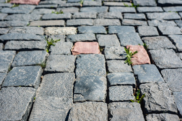 Grass grows through the pavement