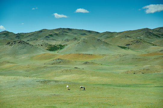 Uvs Province in Mongolia.