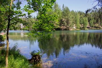 forest and lake