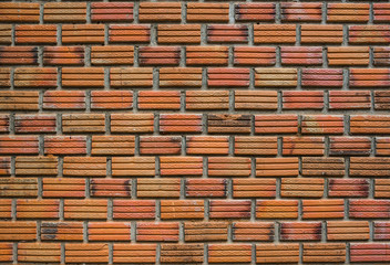 Brick wall texture background