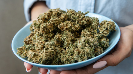 A lot of cannabis medical buds before use lying in a blue plate. Marijuana strains in the worls.