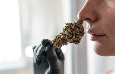 Medical and recreational use of cannabis in the treatment of female diseases