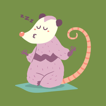 Cute possum in yoga lotus pose vector cartoon character isolated on background.