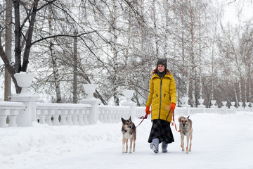Fototapeta na wymiar Young woman is walking in a snowy winter park with her two dogs.