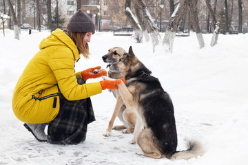 Young woman with her two dogs in a snowy winter park. Dogs give paws to the owner.