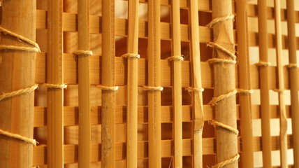 bamboo background