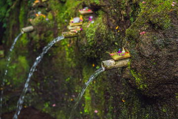 Daily offerings - canang sari is very important in Bali, Indonesia