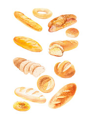 Watercolor illustration of different buns and bread. Isolated on white background
