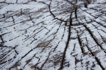 Old wood background