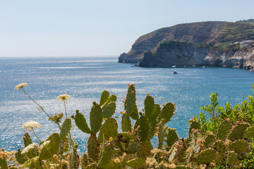 Beach. Nature. Ischia - a volcanic island in the Tyrrhenian Sea, the northern end of the Gulf of Naples