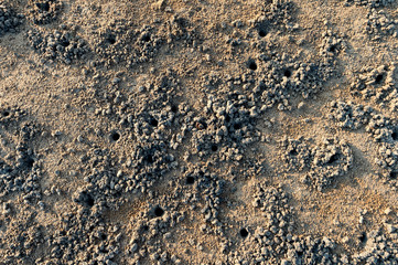 Texture of sand,top view..Closeup of sand beach with crab holes and clod at lowtide sunset.
