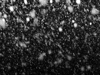 Snow falling on black background for winter season and christmas