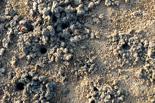 Texture of sand,top view..Closeup of sand beach with crab holes and clod at lowtide sunset.