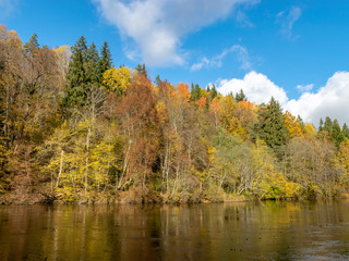 sandstone beach with trees, autumn colors, reflections 