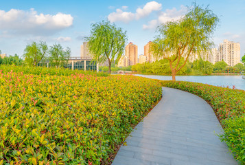 Shrub sparks prospect and business building, Daning Tulip Park, Shanghai, China