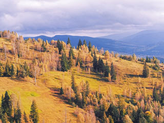 Carpatian village at mountains at the sunny day