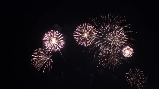 Firework display at night on sky background