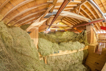 modern new hayloft during haymaking