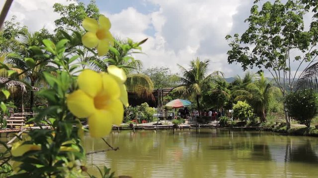 View of a beautiful lake with a flower in the foreground.