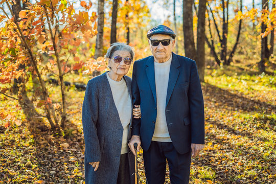 Pensioners in sunglasses in the autumn forest. Pensioners like gangsters