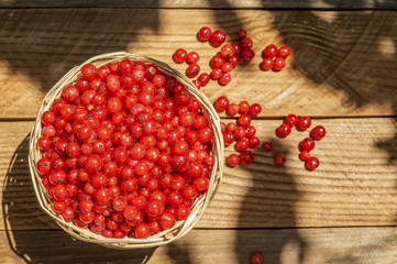 basket with currants